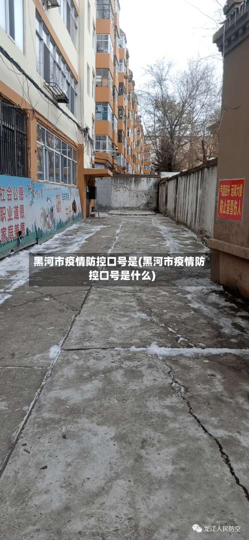 黑河市疫情防控口号是(黑河市疫情防控口号是什么)-第2张图片