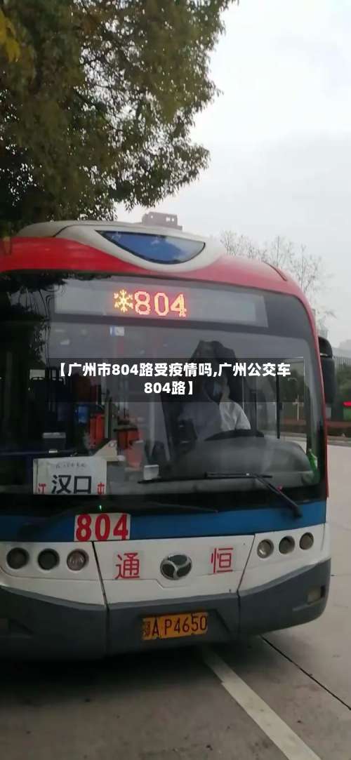 【广州市804路受疫情吗,广州公交车804路】-第2张图片