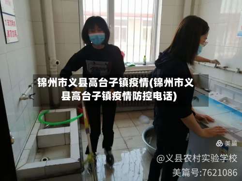 锦州市义县高台子镇疫情(锦州市义县高台子镇疫情防控电话)-第3张图片