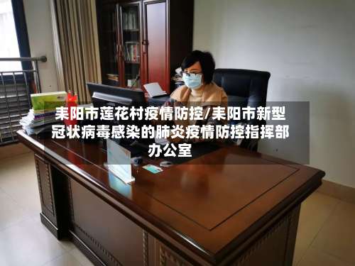 耒阳市莲花村疫情防控/耒阳市新型冠状病毒感染的肺炎疫情防控指挥部办公室