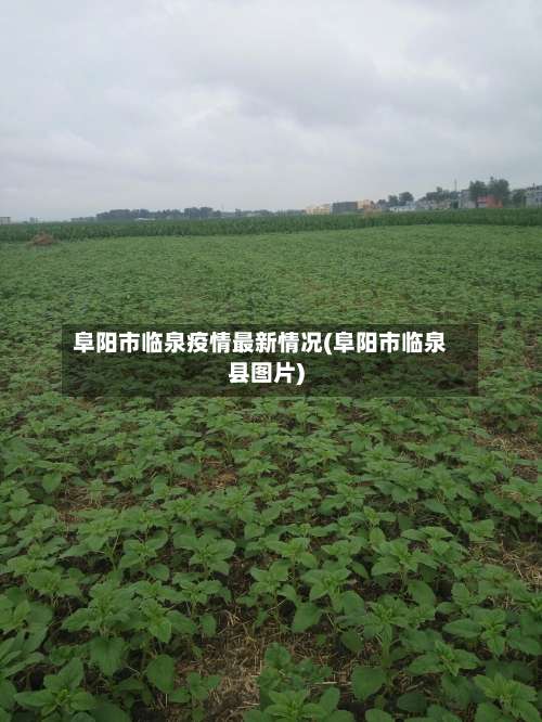 阜阳市临泉疫情最新情况(阜阳市临泉县图片)