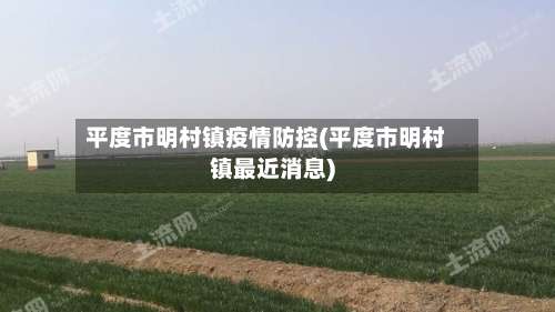 平度市明村镇疫情防控(平度市明村镇最近消息)