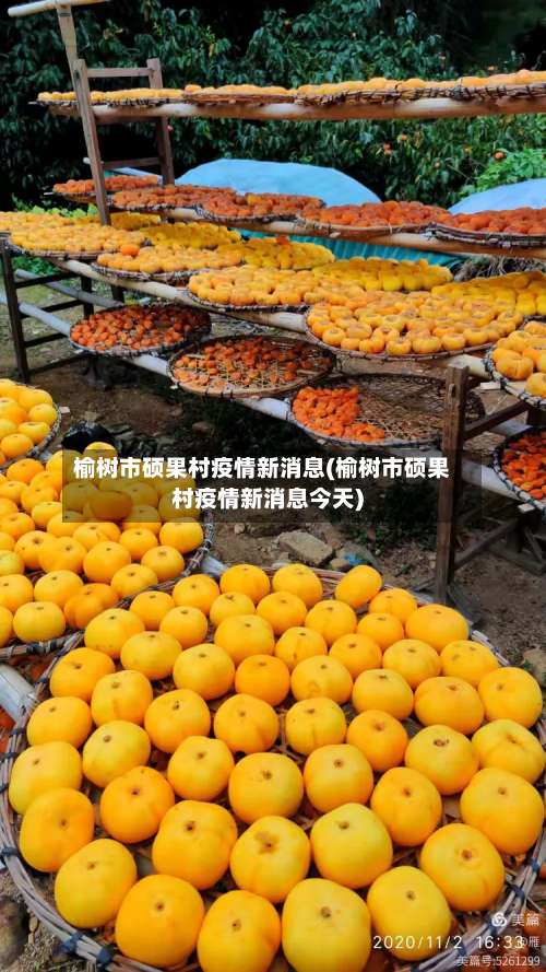 榆树市硕果村疫情新消息(榆树市硕果村疫情新消息今天)