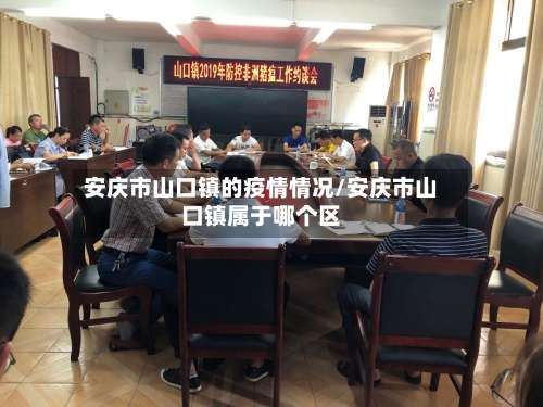 安庆市山口镇的疫情情况/安庆市山口镇属于哪个区