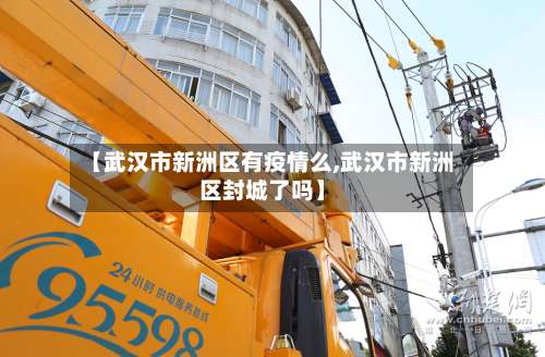 【武汉市新洲区有疫情么,武汉市新洲区封城了吗】