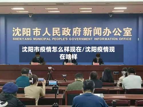沈阳市疫情怎么样现在/沈阳疫情现在啥样-第2张图片