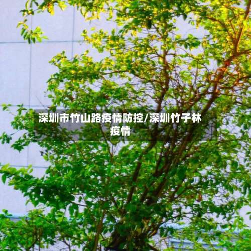 深圳市竹山路疫情防控/深圳竹子林疫情