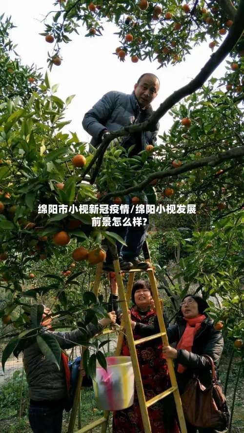 绵阳市小枧新冠疫情/绵阳小枧发展前景怎么样?