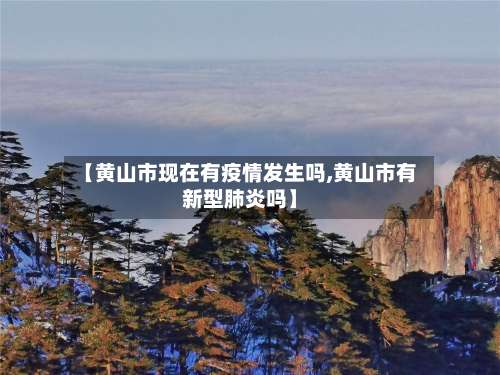 【黄山市现在有疫情发生吗,黄山市有新型肺炎吗】-第2张图片
