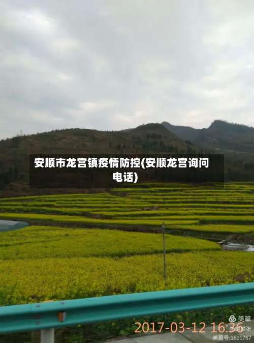 安顺市龙宫镇疫情防控(安顺龙宫询问电话)