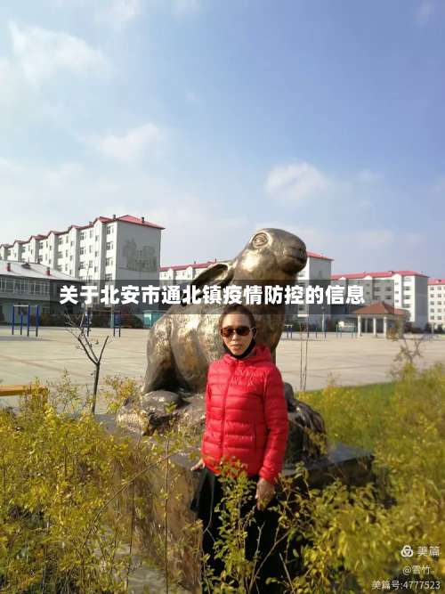 关于北安市通北镇疫情防控的信息