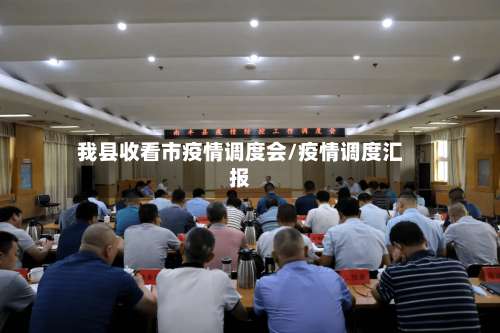 我县收看市疫情调度会/疫情调度汇报-第2张图片