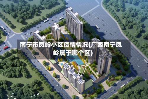 南宁市凤岭小区疫情情况(广西南宁凤岭属于哪个区)-第3张图片