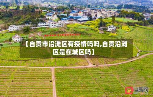 【自贡市沿滩区有疫情吗吗,自贡沿滩区是在城区吗】-第2张图片
