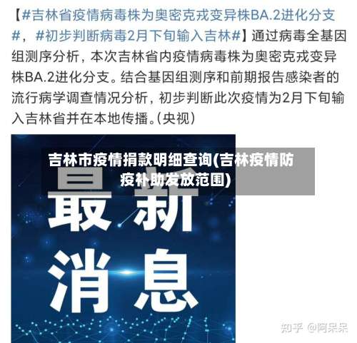 吉林市疫情捐款明细查询(吉林疫情防疫补助发放范围)-第2张图片