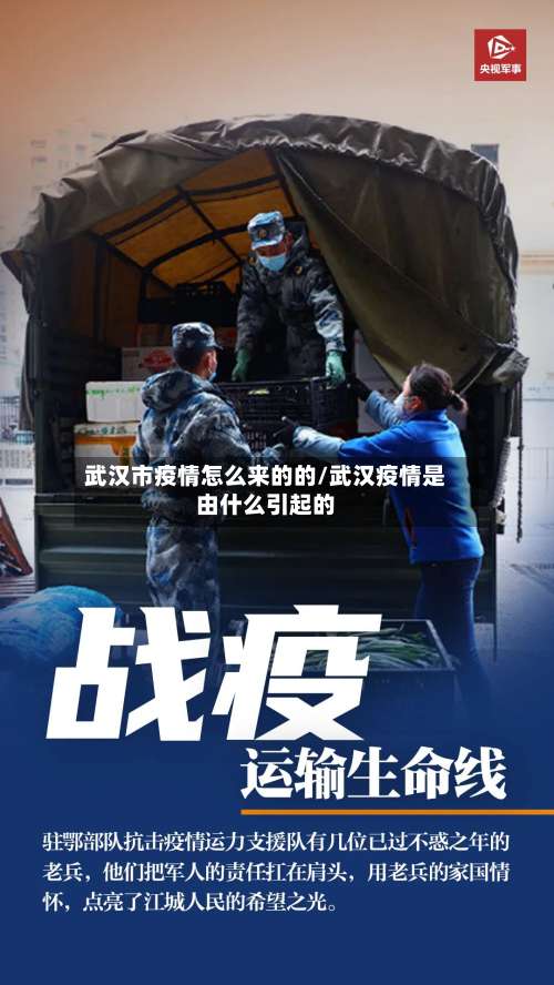 武汉市疫情怎么来的的/武汉疫情是由什么引起的-第3张图片