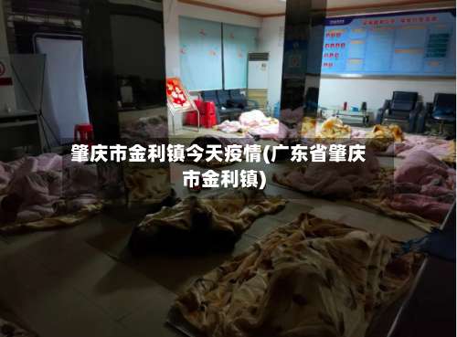 肇庆市金利镇今天疫情(广东省肇庆市金利镇)