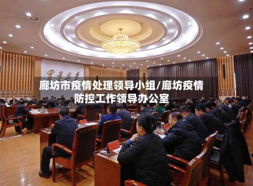 廊坊市疫情处理领导小组/廊坊疫情防控工作领导办公室