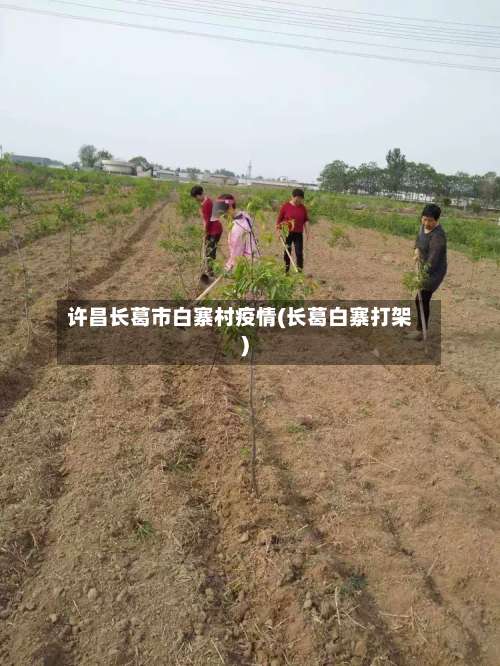 许昌长葛市白寨村疫情(长葛白寨打架)