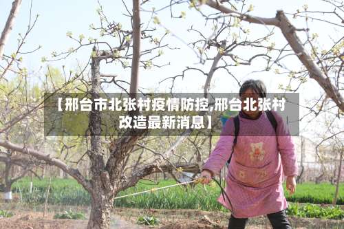 【邢台市北张村疫情防控,邢台北张村改造最新消息】