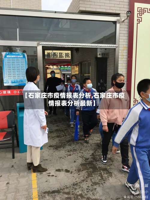 【石家庄市疫情报表分析,石家庄市疫情报表分析最新】