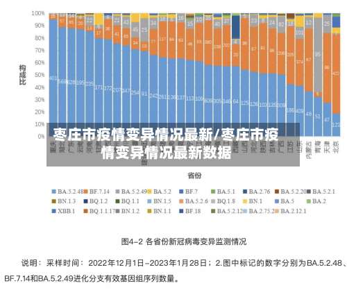 枣庄市疫情变异情况最新/枣庄市疫情变异情况最新数据-第2张图片