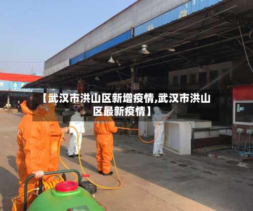 【武汉市洪山区新增疫情,武汉市洪山区最新疫情】