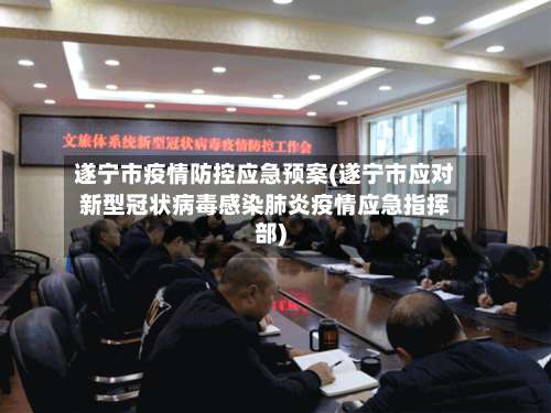 遂宁市疫情防控应急预案(遂宁市应对新型冠状病毒感染肺炎疫情应急指挥部)
