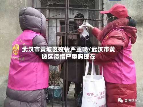 武汉市黄坡区疫情严重吗/武汉市黄坡区疫情严重吗现在-第3张图片
