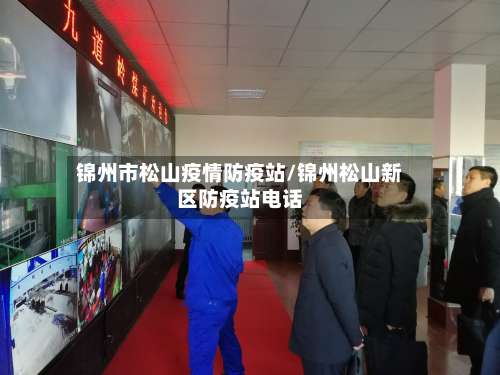 锦州市松山疫情防疫站/锦州松山新区防疫站电话