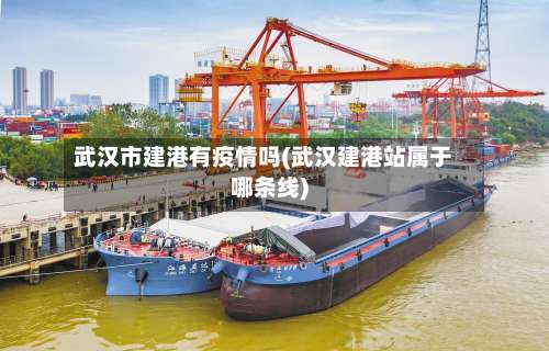 武汉市建港有疫情吗(武汉建港站属于哪条线)-第2张图片