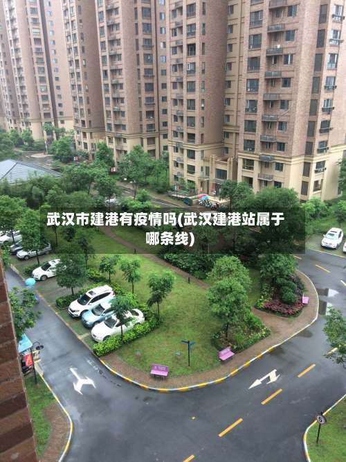 武汉市建港有疫情吗(武汉建港站属于哪条线)