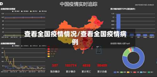 查看全国疫情情况/查看全国疫情病例