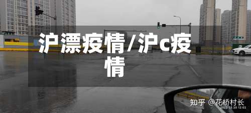 沪漂疫情/沪c疫情