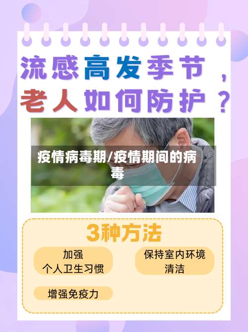 疫情病毒期/疫情期间的病毒