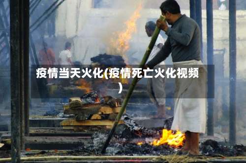 疫情当天火化(疫情死亡火化视频)-第3张图片