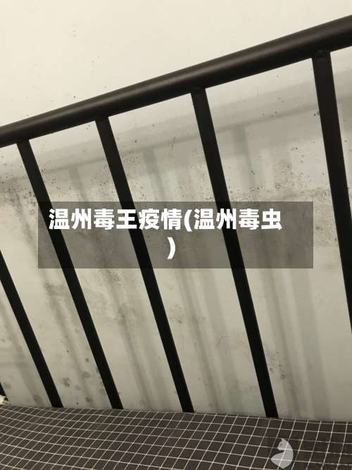 温州毒王疫情(温州毒虫)