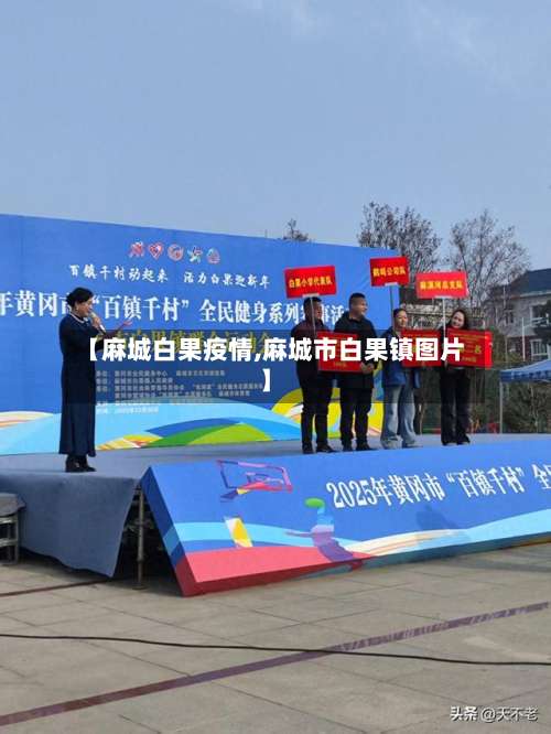 【麻城白果疫情,麻城市白果镇图片】-第2张图片