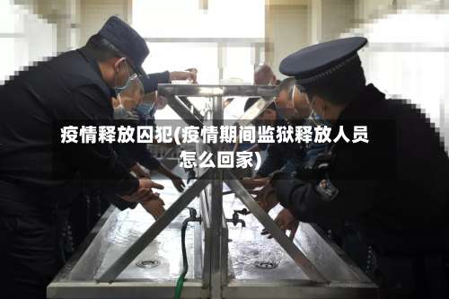 疫情释放囚犯(疫情期间监狱释放人员怎么回家)-第3张图片