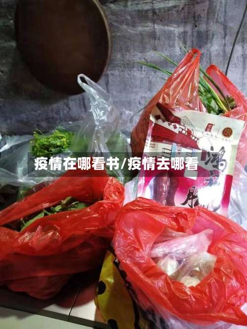 疫情在哪看书/疫情去哪看-第2张图片