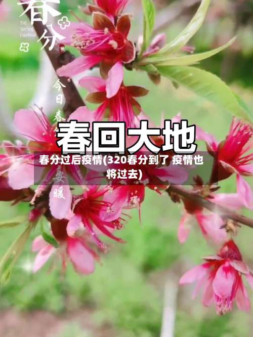 春分过后疫情(320春分到了 疫情也将过去)-第2张图片