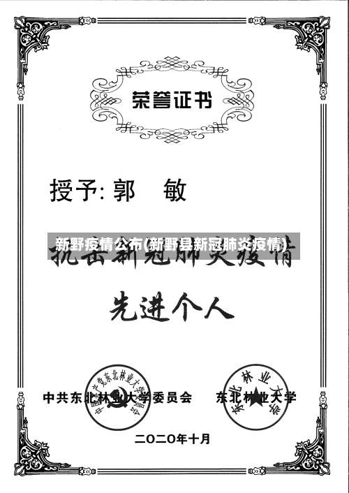 新野疫情公布(新野县新冠肺炎疫情)-第2张图片