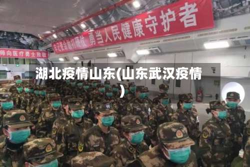 湖北疫情山东(山东武汉疫情)