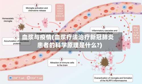 血浆与疫情(血浆疗法治疗新冠肺炎患者的科学原理是什么?)-第2张图片