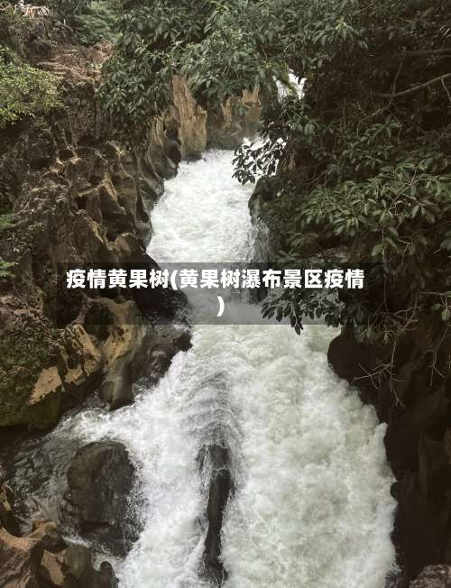 疫情黄果树(黄果树瀑布景区疫情)