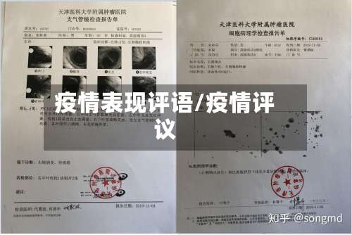 疫情表现评语/疫情评议