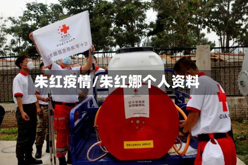 朱红疫情/朱红娜个人资料