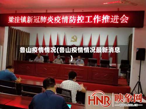 鲁山疫情情况(鲁山疫情情况最新消息)