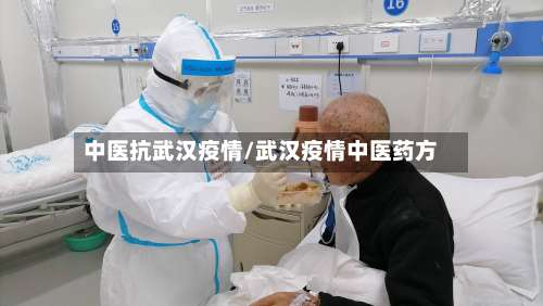 中医抗武汉疫情/武汉疫情中医药方