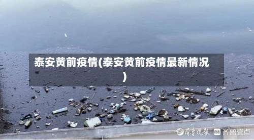 泰安黄前疫情(泰安黄前疫情最新情况)-第2张图片